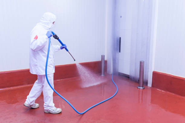 Best Residential House Exterior Washing  in Roseville, CA